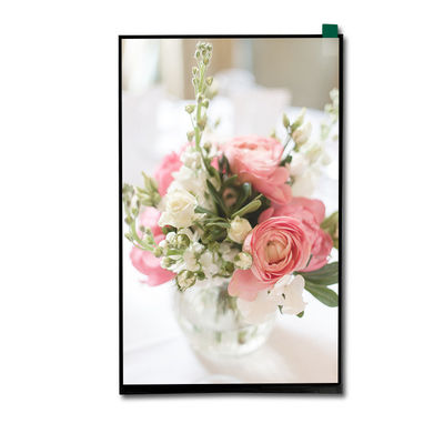 10.1 Inch 1200x1920 Resolution MIPI Interface 300nits TFT LCD Screen LCD Panel with IPS Glass